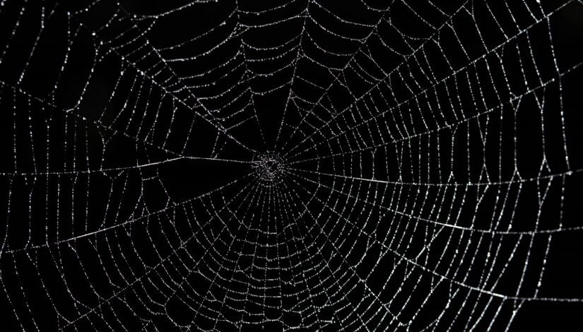 What is the Dark Web and Why Should We Care?  