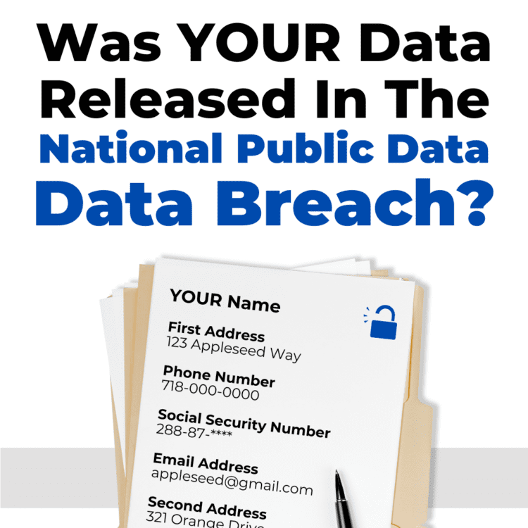 national public data breach